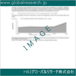 グローバルリサーチ調査資料のイメージ